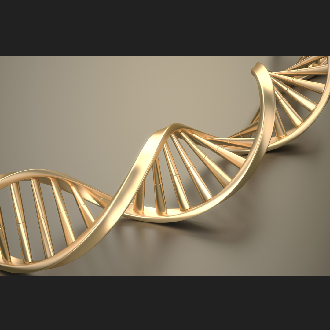 Hoe stress en je lever je darmen saboteren