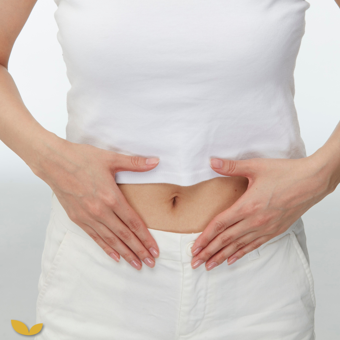 Je darmen als energiemotor: de oorzaak van vermoeidheid