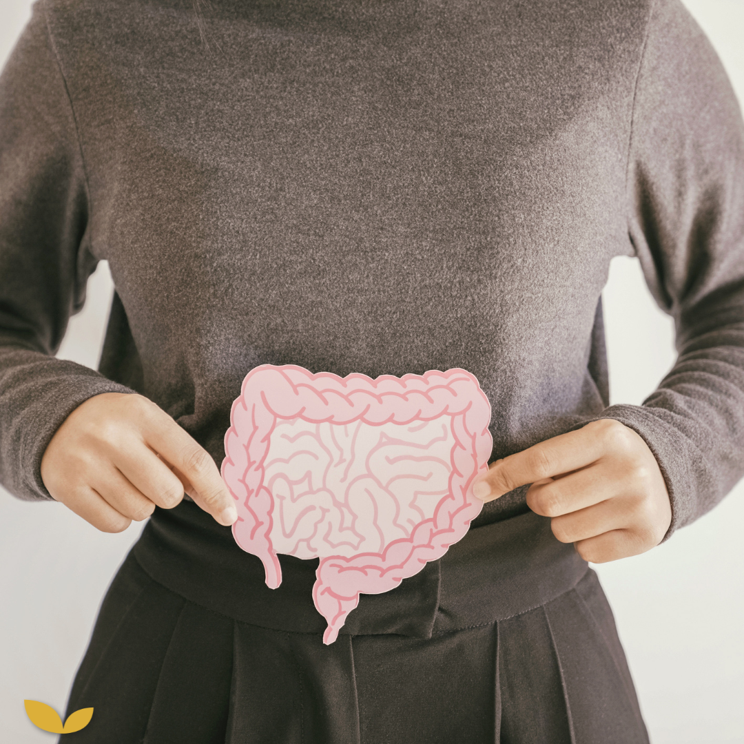 SIBO en darmklachten: de gemiste schakel