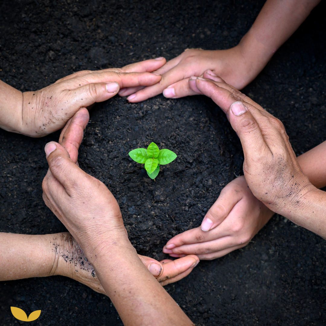 Podcastaflevering #27 – Dit is de kracht van jouw omgeving