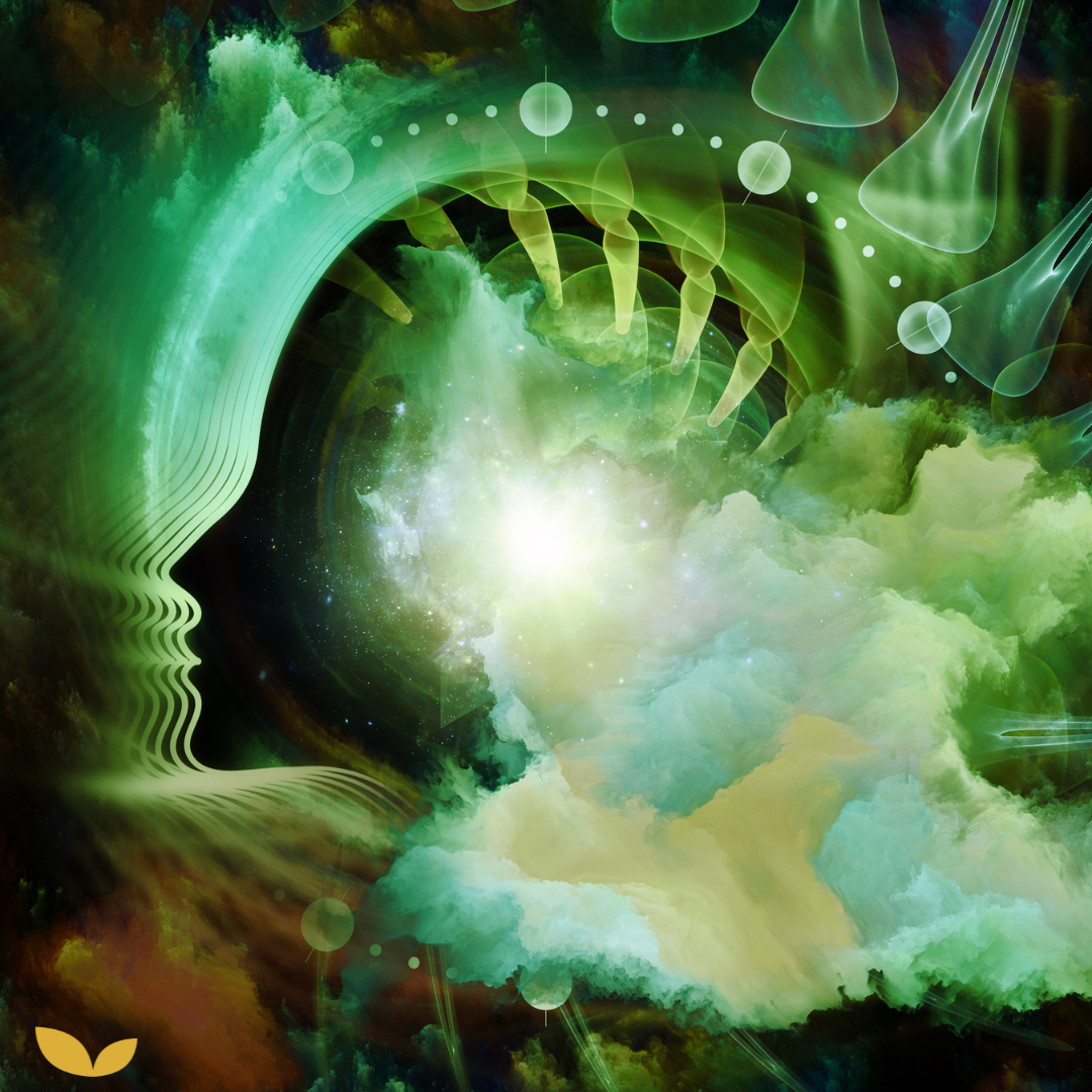 Podcastaflevering #31 – Zo kom je van je brainfog af