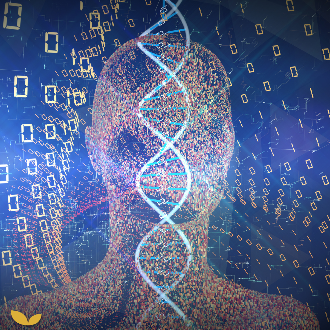 Podcastaflevering #48 – Ontdek de voordelen van een DNA leverpaspoort