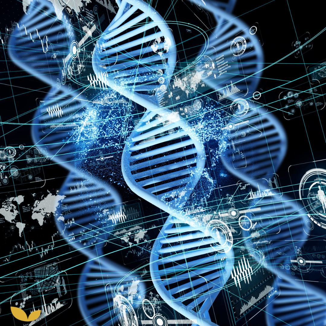 Podcastaflevering #49 – Het COMT-gen en stressbestendigheid: alles wat je wil weten