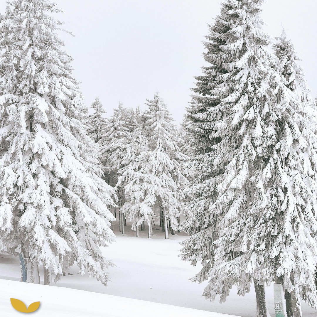 Podcastaflevering #19 – Zo voorkom je de winterdip