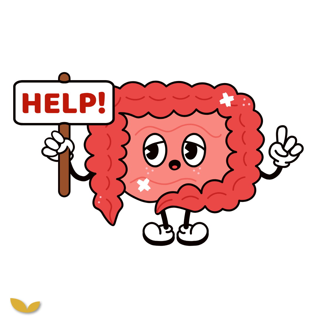 Podcastaflevering #23 – Het herstellen van een leaky gut; doe je zo