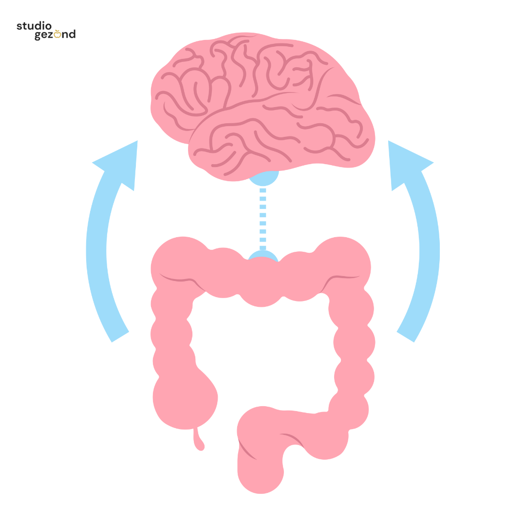 Waarom je darmen bepalen of je kunt leiden of overleeft