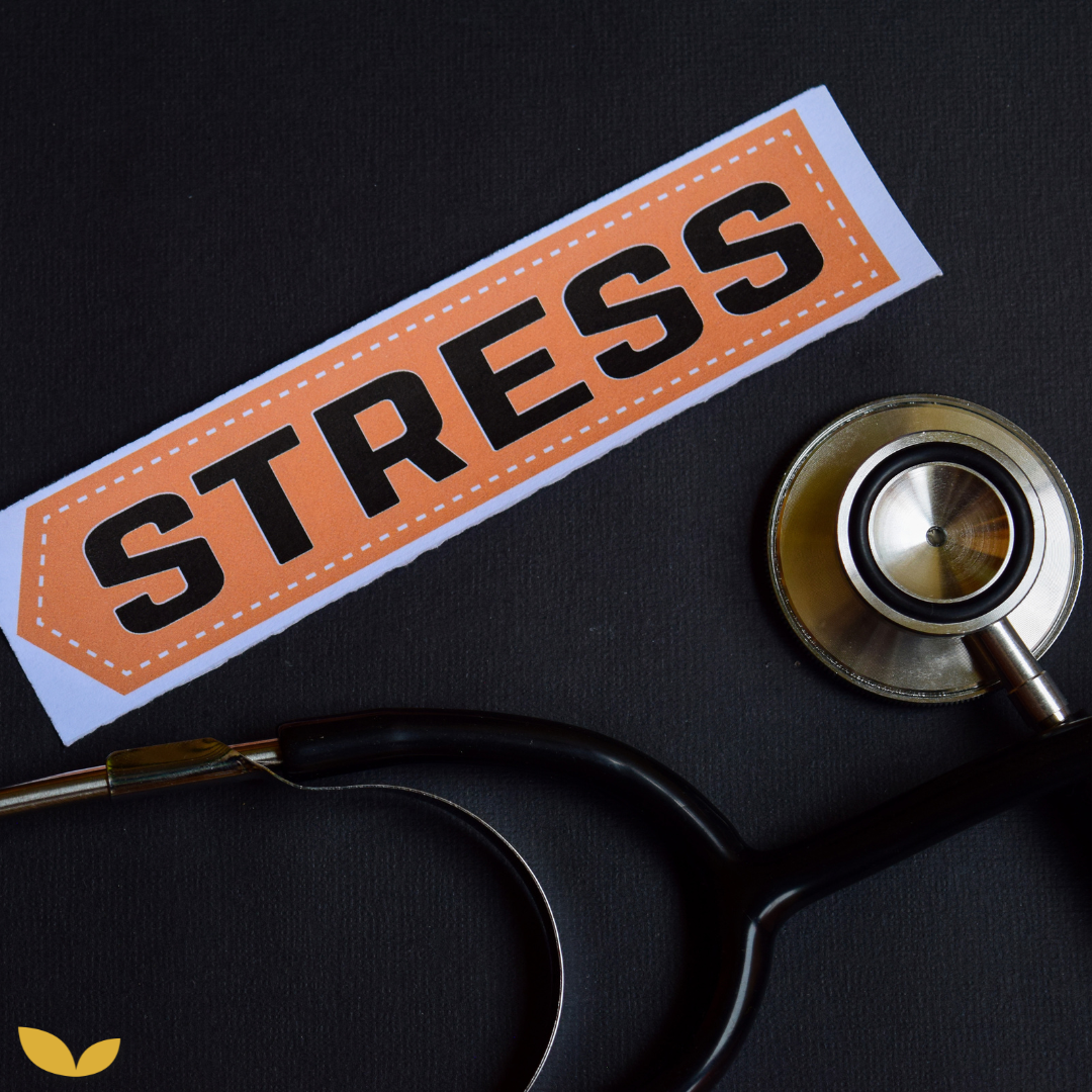 Darmklachten door stress? Waarom je gebrek aan ritme de echte boosdoener is